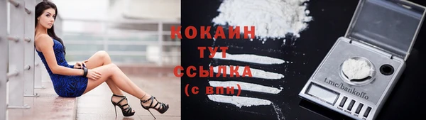 мдпв Покров