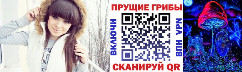 Галлюциногенные грибы Cubensis  площадка как зайти  Усть-Кут 