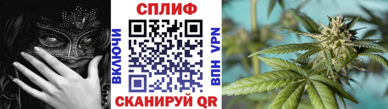 наркота  mega онион  сайты даркнета наркотические препараты  Усть-Кут  Бошки Шишки сатива 
